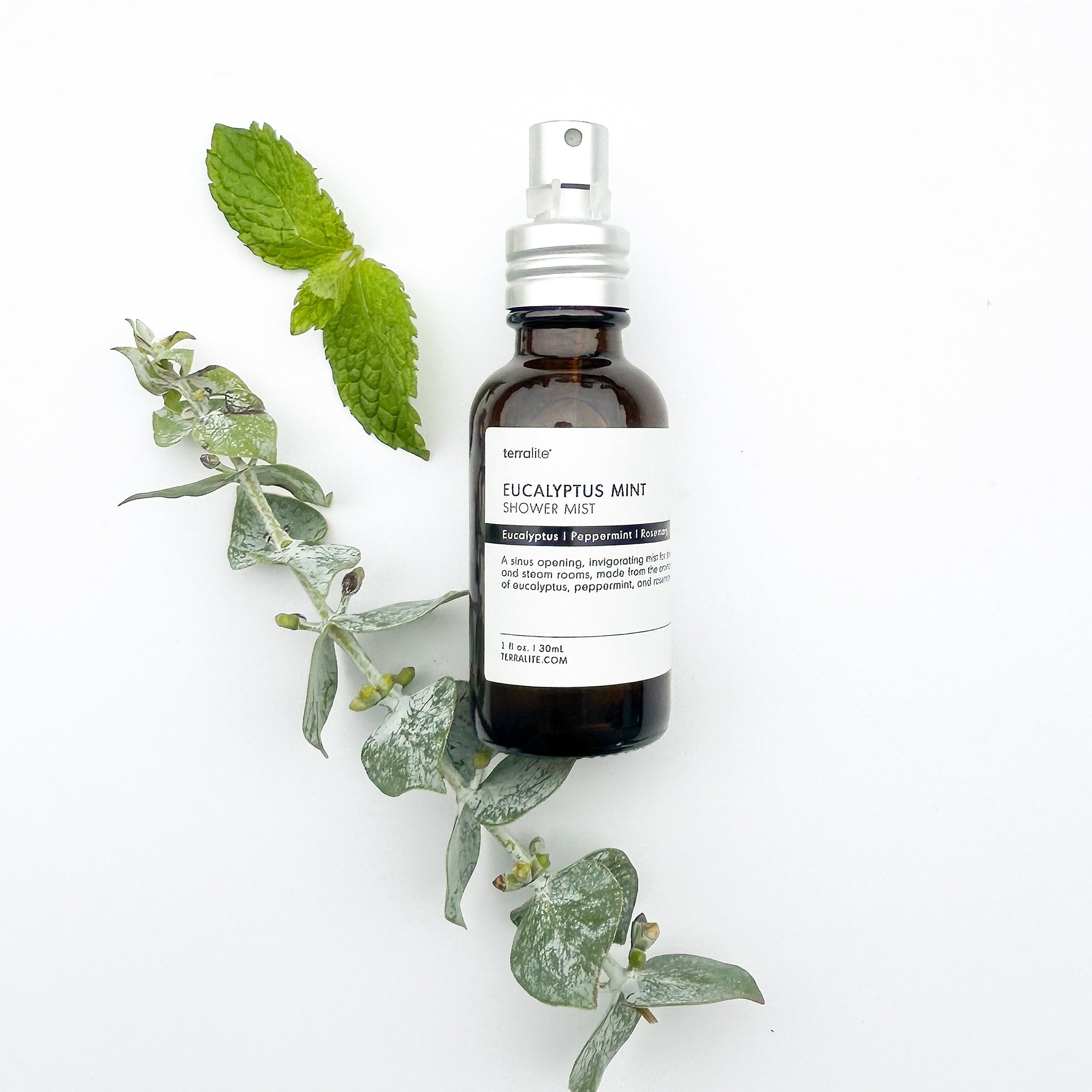Eucalyptus Mint Shower Mist