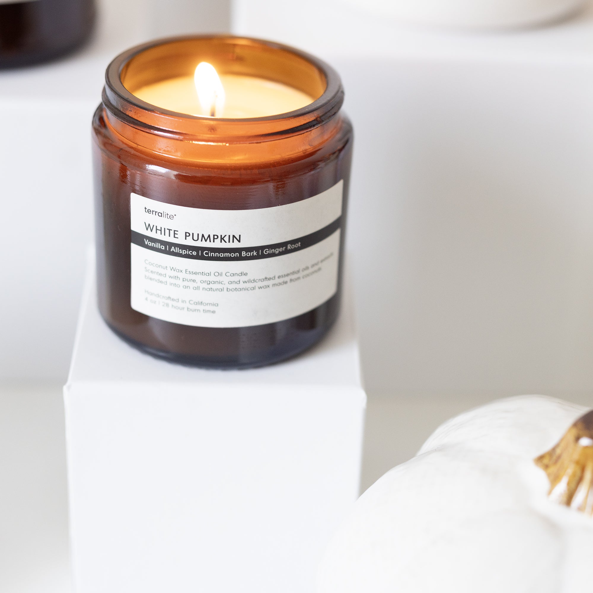 White Pumpkin (travel)