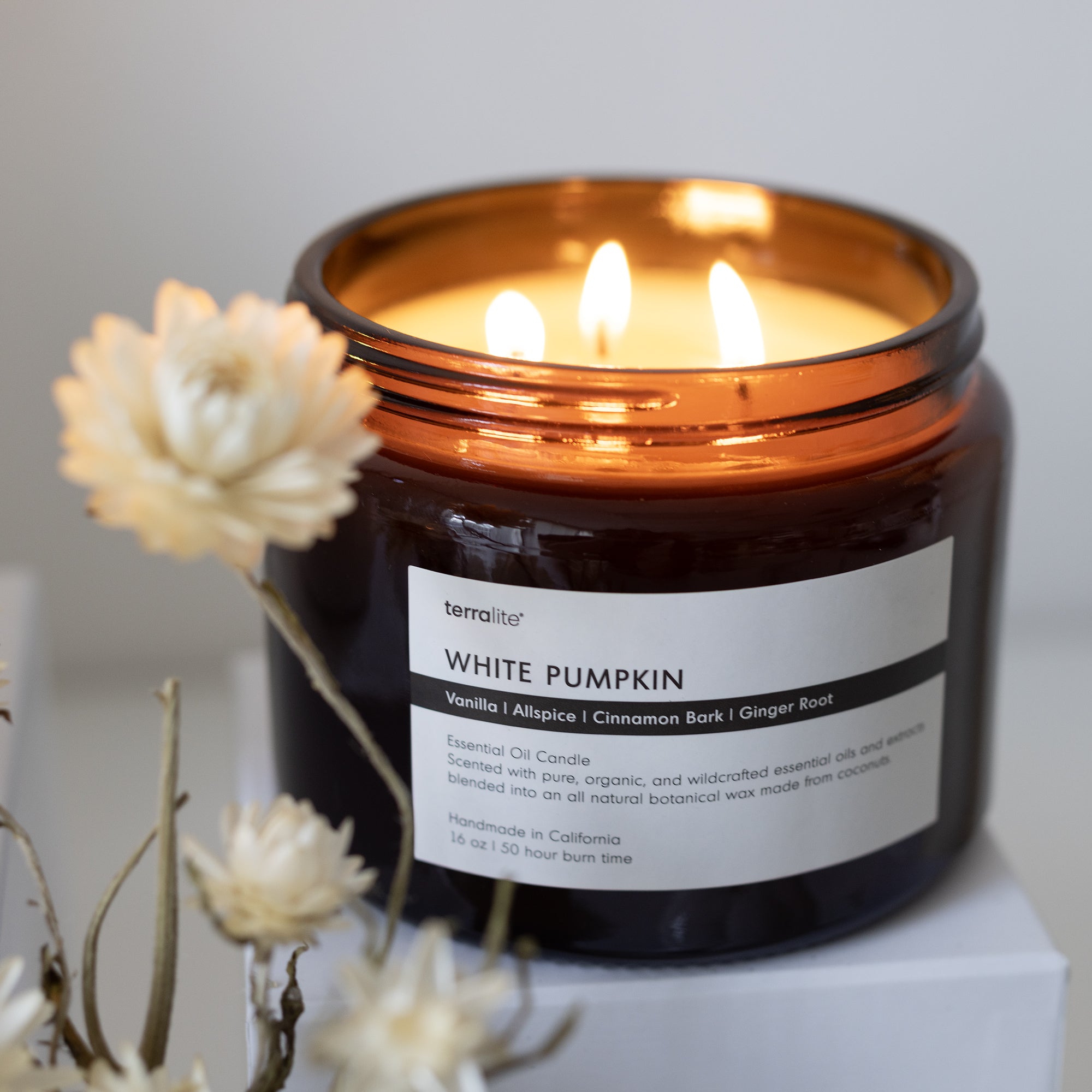 White Pumpkin (tri-wick)